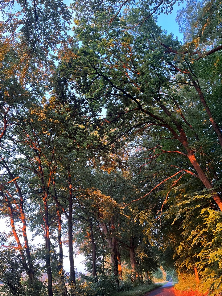Spaziergang um Bohndorf 1