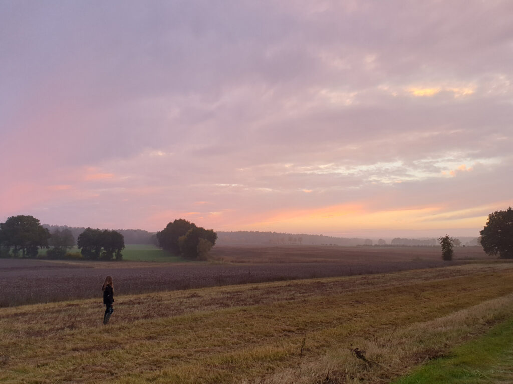 Landschaft am Abend
